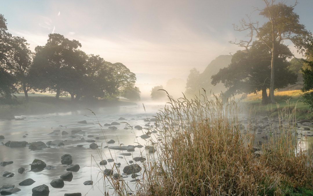 Early Autumn Explorations